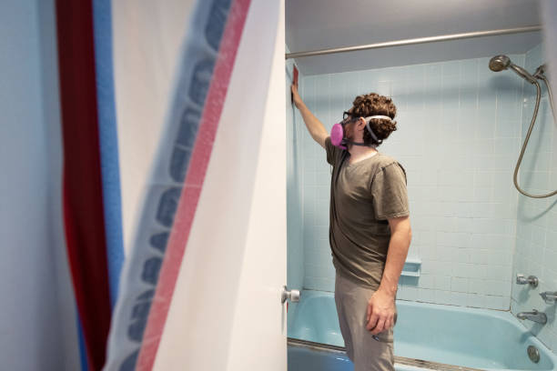Best Residential Mold Inspection & Testing  in Loma, CO