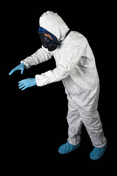 Best Mold Damage Restoration  in Loma, CO